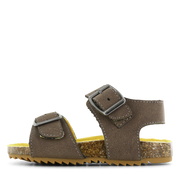 Taupe